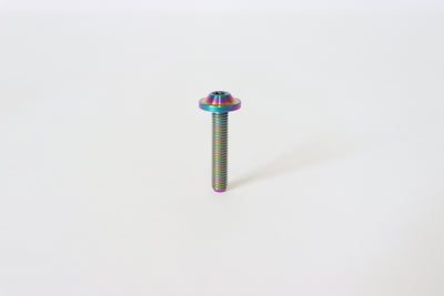 Tornillo M5x25mm button