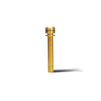 Tornillo M6x35mm socket (x1 unidad)